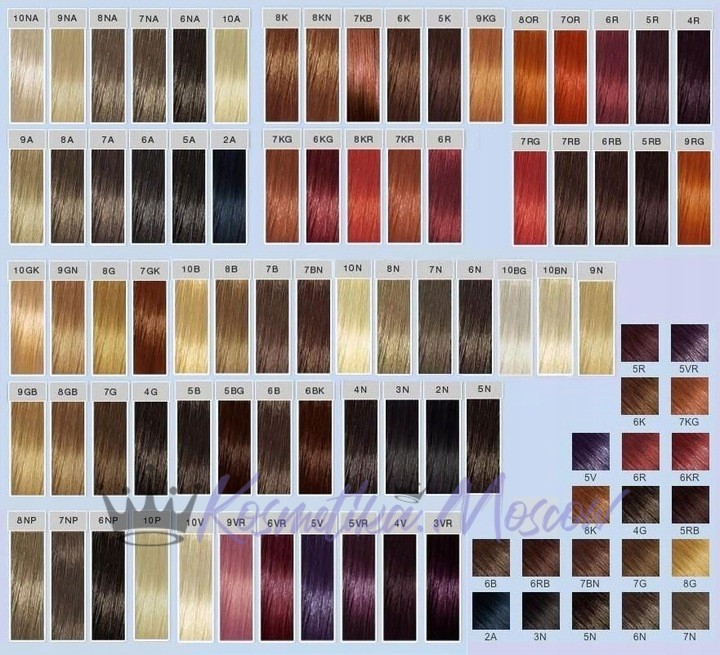 Стойкая профессиональная краска для волос - Goldwell Topchic Hair Color Coloration 8SB (Светло-русый блондин серебристо-бежевый) 60мл