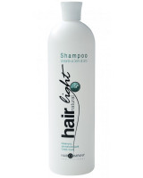 Шампунь увлажняющий с семенем льна - Hair Company Hair Light Natural Light Shampoo Idratante ai Semi di Lino 1000 мл