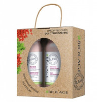 Весенний набор 2018 для восстановления волос (Шампунь 325 мл + Кондиционер 325 мл) Matrix Biolage R.A.W. Recover Spring Set 2018 325+325 мл