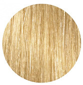 Краска для волос Loreal Inoa 10.31 (Очень яркий блондин золотистый пепельный)