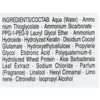 SP НС Лосьон 2 для хим окр и мелир.вол.1000 мл