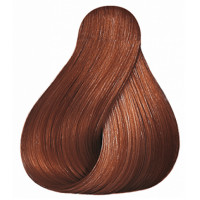 Стойкая крем-краска Марракеш - Wella Professional Koleston Perfect 8/41 60 мл