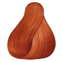 Стойкая крем-краска 88/43 ирландское лето - Wella Professional Koleston Perfect 88/43 Risky 60 мл