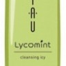 Охлаждающий антиоксидантный шампунь для жирной кожи - Lebel IAU Lycomint Cleansing Icy 200 мл