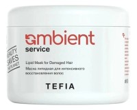 Маска липидная для интенсивного восстановления волос AMBIENT SERVICE 500 млTefia