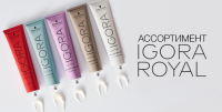 Блондин золотистый шоколадный - Schwarzkopf Igora Royal Absolute AgeBlend 9-560 60 мл
