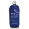 Оттеночная маска Голубика - Kydra Sweet Color Arctic Berry 500 мл