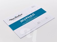 Журнал учета предстерилизационной обработки, Чистовье