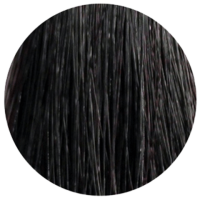 Стойкая профессиональная краска для волос - Goldwell Topchic Hair Color Coloration 3VV MAX (Чернослив)