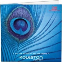 Палитра Wella KOLESTON