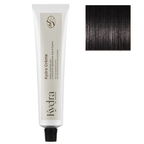 2/10 NOIR BLEU KYDRACREME hair color treatment/Крем-краска для волос KYDRACREME