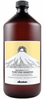Очищающий шампунь против перхоти - Davines Purifying Shampoo 1 литр