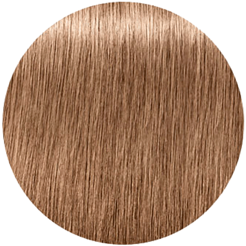 Igora Royal Absolute 8-01 краска д/в