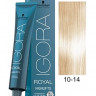 Экстрасветлый блондин сандрэ бежевый - Schwarzkopf Igora Royal Highlifts Hair Color 10-14 60 мл