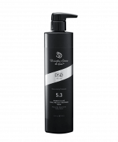 Маска наполнение восстановление структуру волос DSD De Luxe Steel And Silk Treatment Mask 5.3 (Диксидокс Де Люкс 5.3L) 500 мл