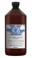 Davines Natural Tech Rebalancing Очищающий уход для кожи головы 1000 мл