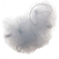 Сеточка DEWAL для прически, серая 2 шт/уп