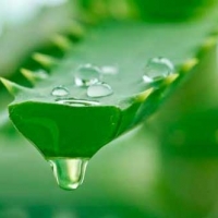 Многофункциональный гель (крем)