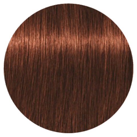 Краска для волос Schwarzkopf Igora Royal 60 мл 6-12 Темно-русый серебристо-пепельный